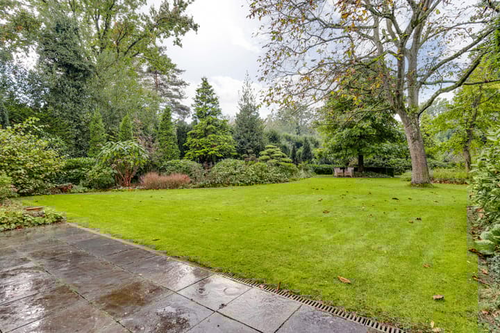 Photo 25 of Burgemeester Honéesingel 7