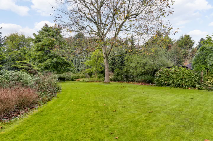 Photo 26 of Burgemeester Honéesingel 7