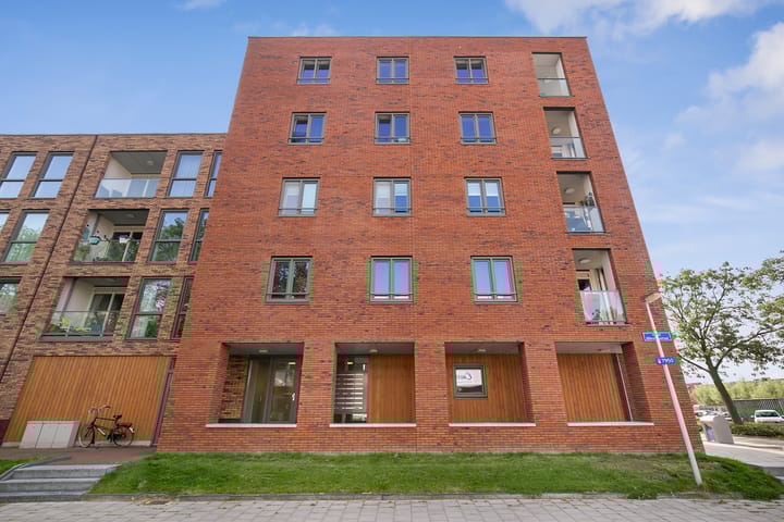 Toon Dupuisstraat 19