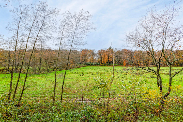 Bekijk foto 30 van Vondellaan 80