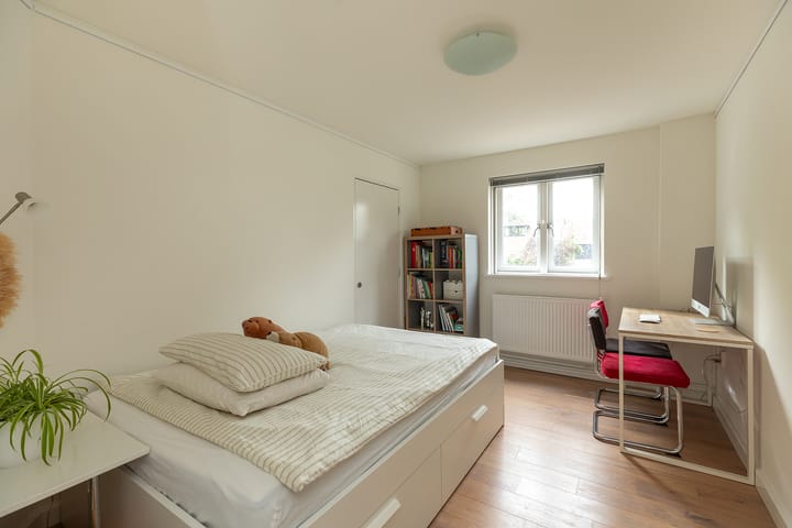 Foto 13 van Bosdrift 20-B