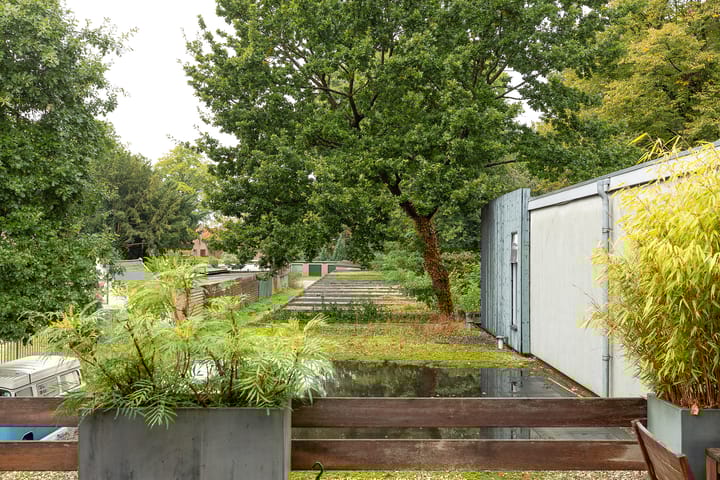 Foto 20 van Bosdrift 20-B