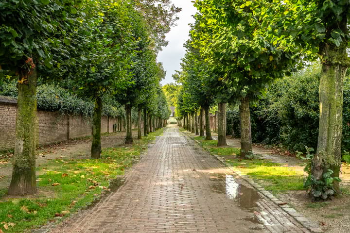 Foto 53 van Peperstraat 20