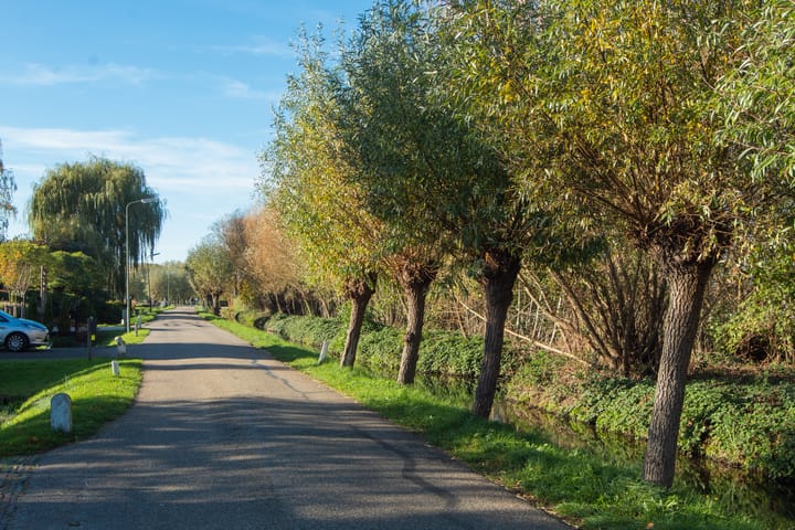 Foto 63 van Walnootstraat 41