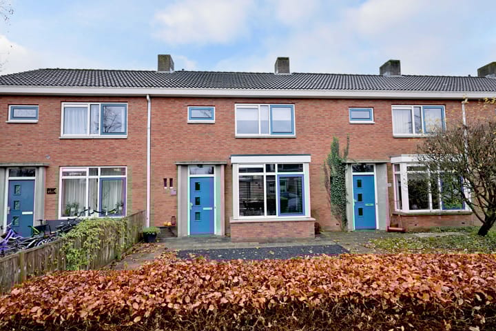 undefined main image