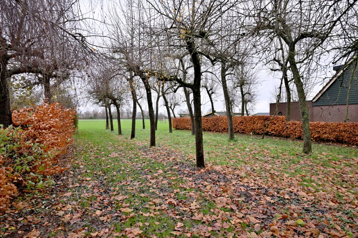 Bekijk foto 28 van Thorbeckestraat 86