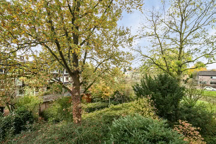 Foto 17 van Straatsburgsestraat 12