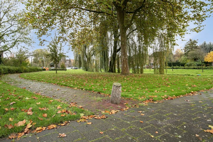 Foto 20 van Straatsburgsestraat 12