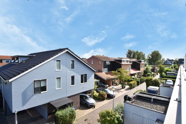 Foto 46 van Pluimzegge 49