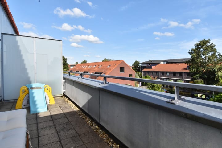 Foto 47 van Pluimzegge 49