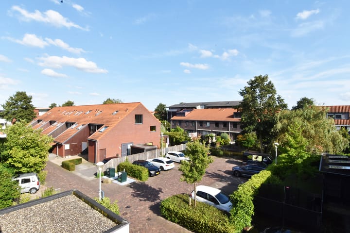 Foto 48 van Pluimzegge 49