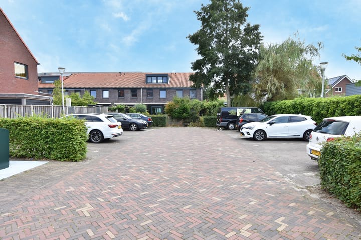 Foto 49 van Pluimzegge 49