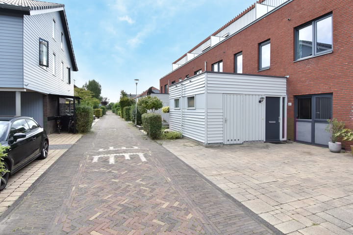 Foto 50 van Pluimzegge 49