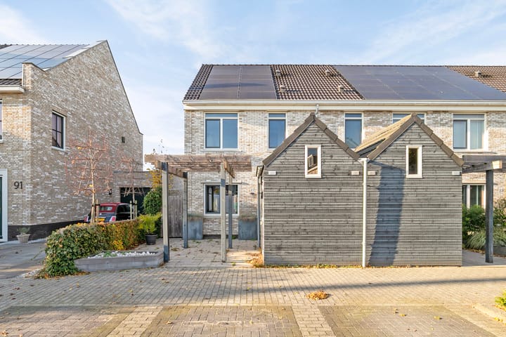 Foto 2 van Brielsemeer 89