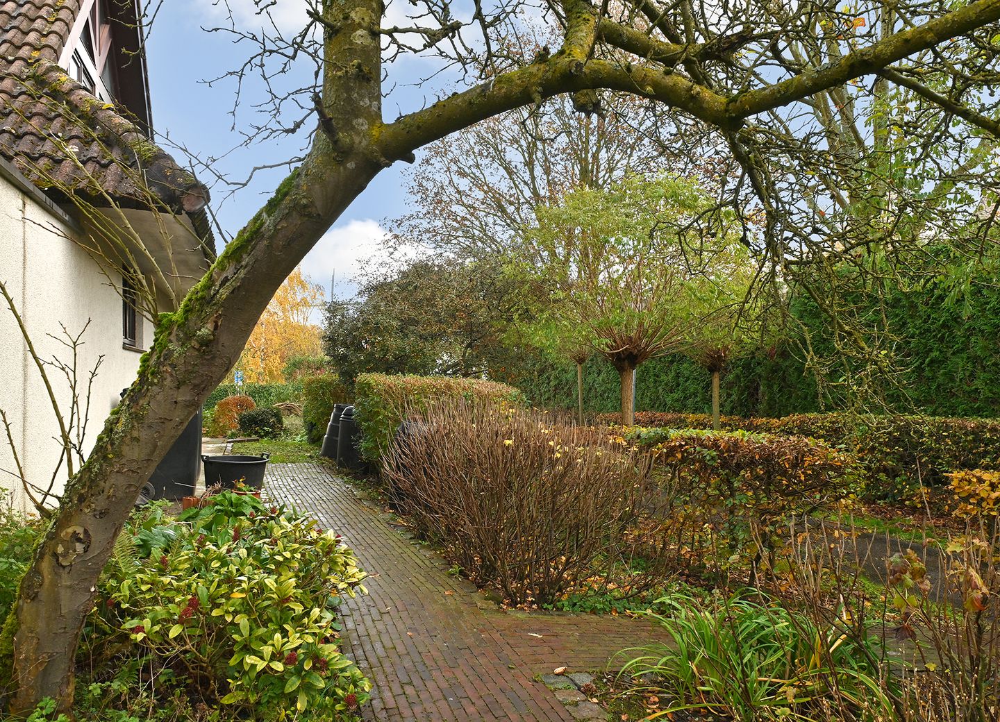 Foto 44 van Hertenkamp 9-A