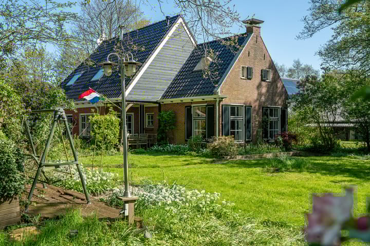 Foto 1 van Reinous Reed 10