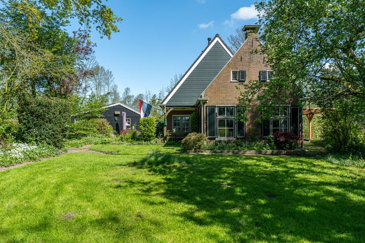 Foto 2 van Reinous Reed 10