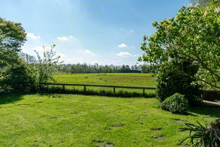 Foto 3 van Reinous Reed 10