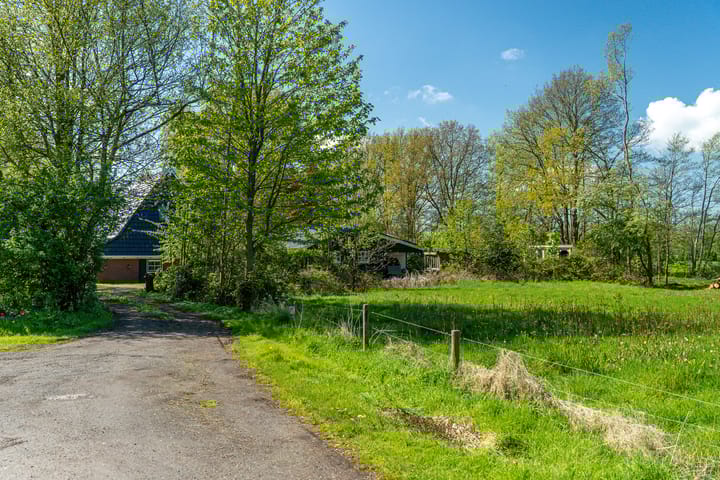 Foto 5 van Reinous Reed 10