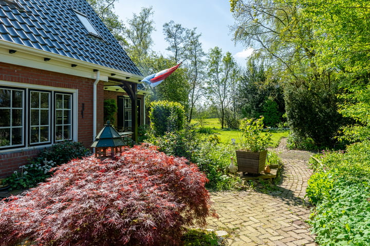 Foto 27 van Reinous Reed 10