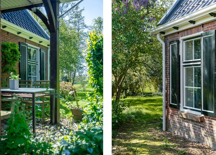 Foto 28 van Reinous Reed 10