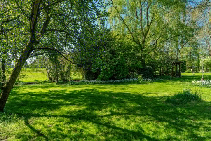 Foto 29 van Reinous Reed 10