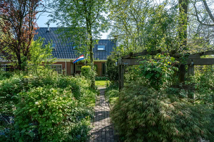 Foto 30 van Reinous Reed 10