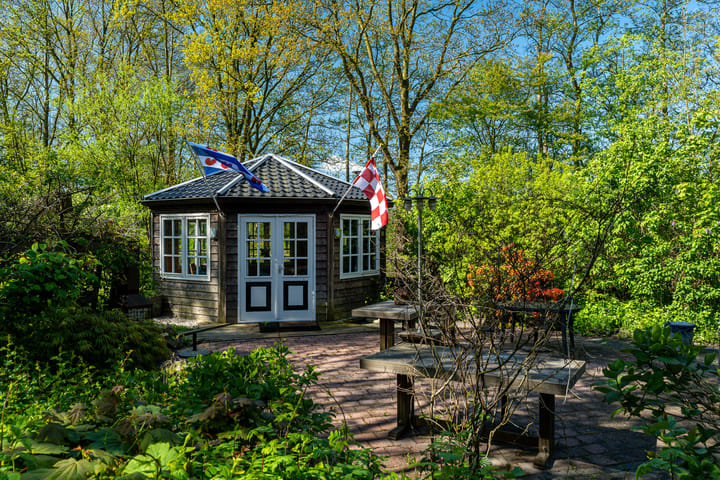 Foto 31 van Reinous Reed 10