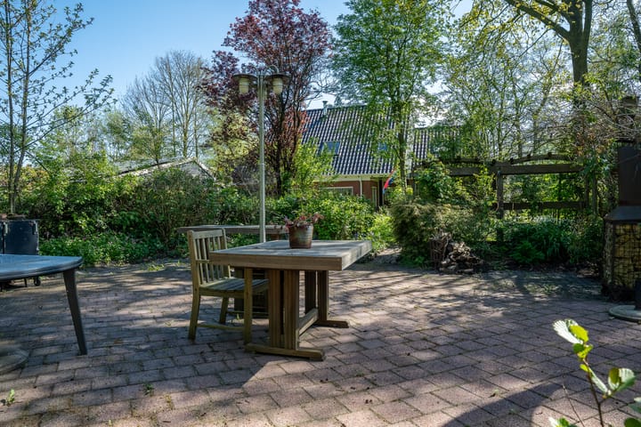 Foto 33 van Reinous Reed 10