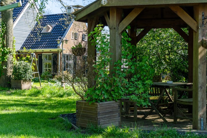 Foto 35 van Reinous Reed 10