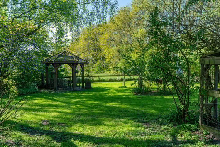 Foto 36 van Reinous Reed 10