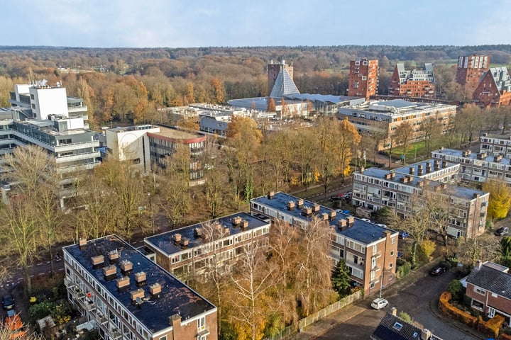 Bekijk foto 37 van Hollandseweg 40