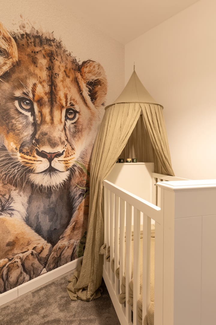 Foto 17 van Van Hogendorplaan 48