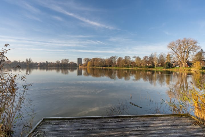 Foto 34 van Pieter Breughelstraat 3