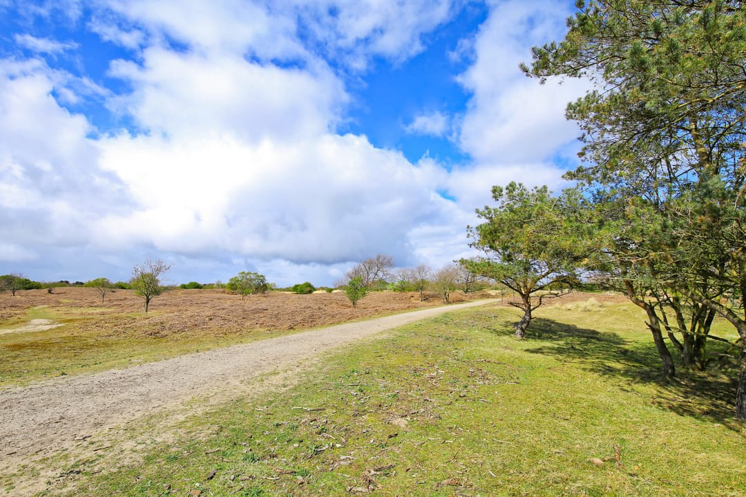 Foto 26 van Regenvlietweg 15