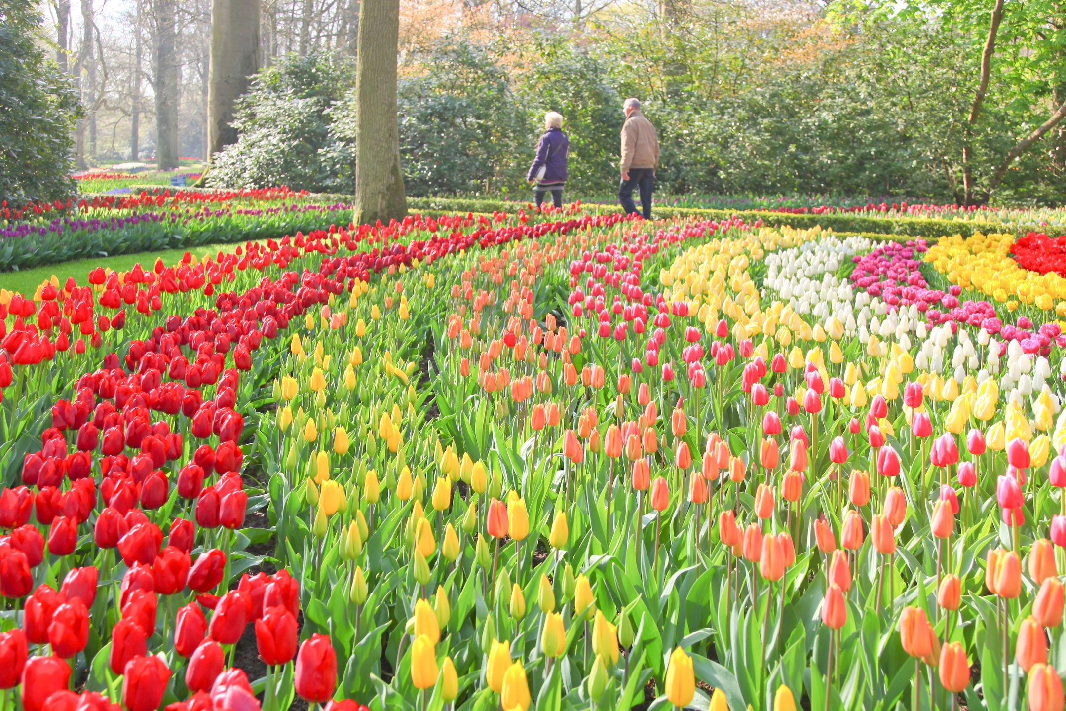 Foto 30 van Regenvlietweg 15