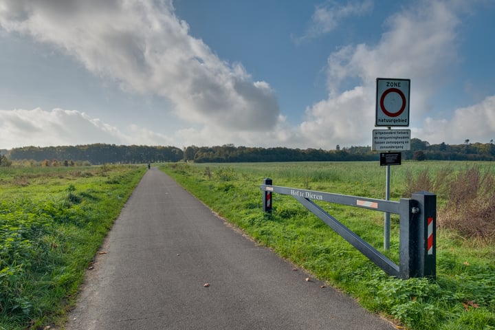 Bekijk foto 40 van Buitensingel 20