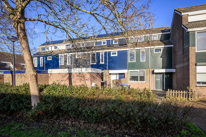 Foto 1 van Punter 16 18