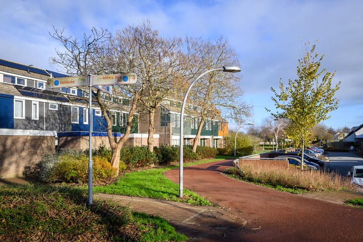 Foto 2 van Punter 16 18