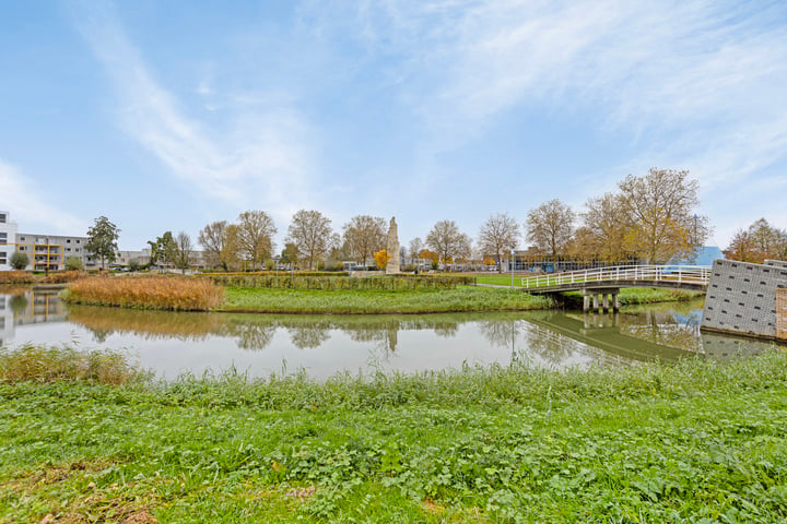 Bekijk foto 4 van Darwinstraat 42