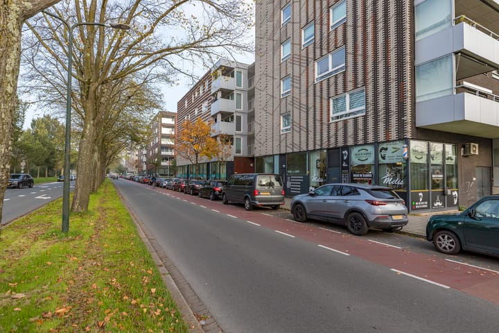 Foto 1 van Melis Stokelaan 1982