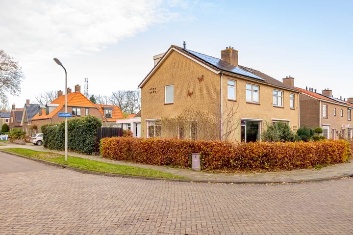 undefined main image