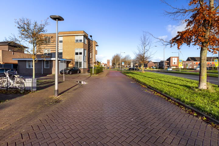 Foto 66 van Boterbloem 17