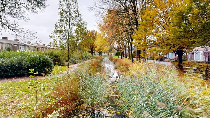 Foto 35 van Lavendelhof 145