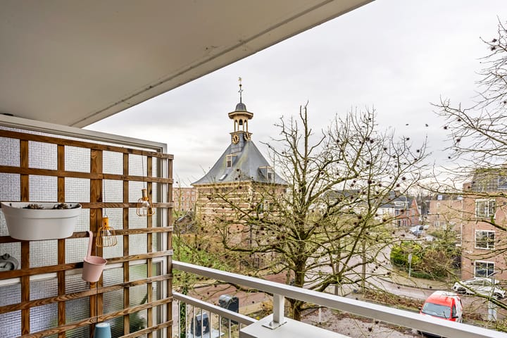 Foto 12 van Paddemoes 10