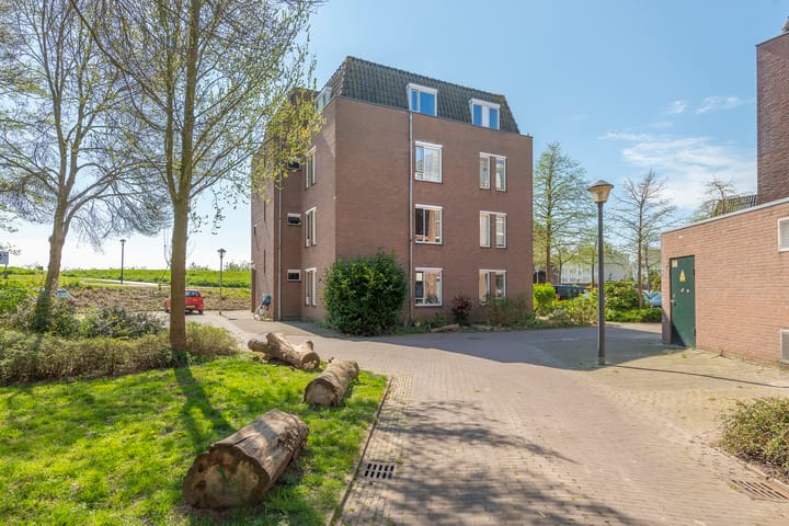 Foto 21 van Paddemoes 10