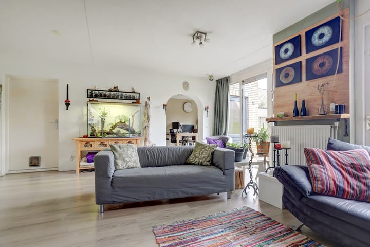 Foto 13 van Lupine 6