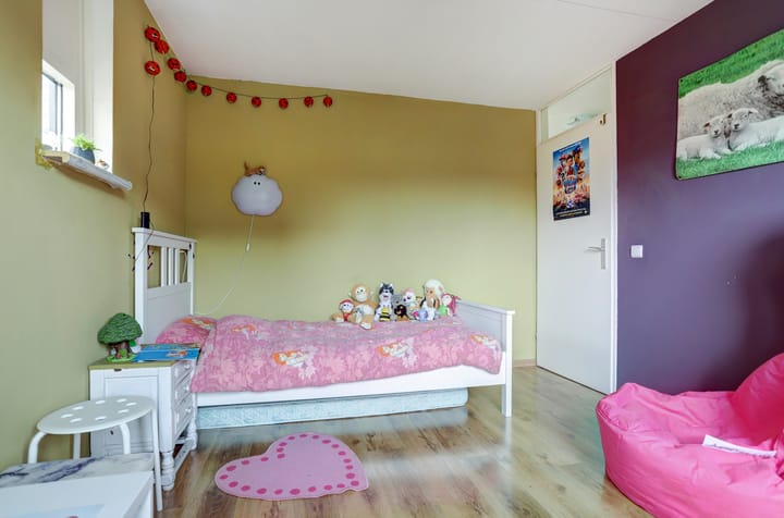 Foto 20 van Lupine 6