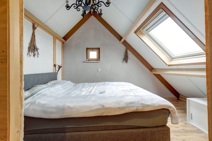 Foto 26 van Lupine 6