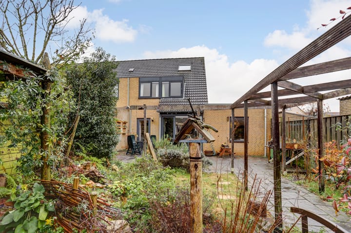 Foto 29 van Lupine 6